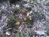 IMG_20140430_125519.jpg