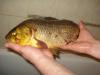DSC04951.JPG
