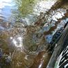 IMG-20170522-WA0005.jpg