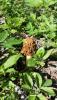 IMG-20180507-WA0012.jpg