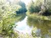 IMG_20190511_151616.jpg