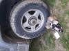 20200514_100331.jpg