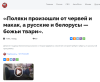 изображение_2025-05-06_223515150.png