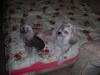 DSCN3795.JPG