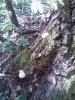 IMG_20140601_145603.jpg