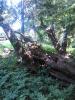 IMG_20140601_145645.jpg