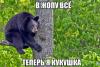 -q9_kLYrq88.jpg