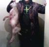 IMG0099A.jpg