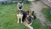 IMG-20170619-WA0002.jpg