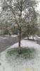 IMG-20170620-WA0004.jpg