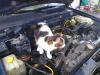 IMG_20201101_151625749.jpg