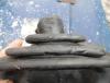 DSC08118.JPG
