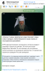 изображение_2025-06-02_122040008.png