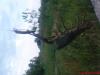DSC00022.JPG
