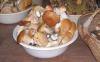 DSCN4020_cr.jpg
