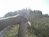CAM00628.jpg