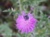 DSCN1676.JPG