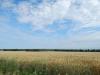 DSCN1656.JPG
