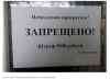 изображение_2025-07-21_001001249.png