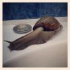 2012_08_15_1345055938.jpg