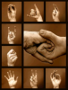 fingers.png