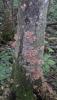 2013_08_06_185.jpg