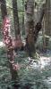 2013_08_06_186.jpg