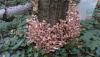 2013_08_06_187.jpg