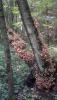 2013_08_06_189.jpg