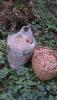 2013_08_06_190.jpg