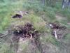 WP_001593.jpg
