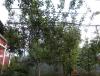 DSCN2628.JPG