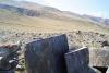 DSC00562.jpg