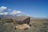 DSC00559.jpg