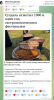 изображение_2025-08-17_124146902.png