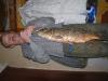 DSCN3909.JPG