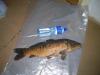 DSCN3910.JPG