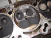 IMG_0282.gif