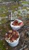 P_20160921_141251-------------------1.jpg