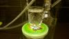 WP_20160902_22_16_12_Pro.jpg