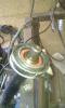 IMAG0224.jpg