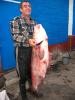 IMG_4475.JPG