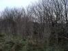 DSC05257.JPG