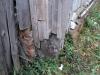 DSC05261.JPG