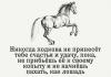 keywords-736x600.jpg