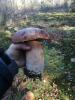 IMG-20221011-WA0004.jpeg