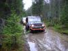 DSC02773.JPG