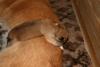 IMG_5812_2.jpg