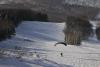 _DSC3831_1280.jpg