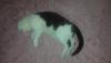20151128_233105.jpg